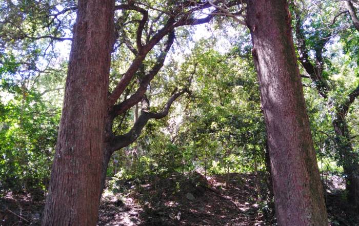 storie e leggende di Maremma