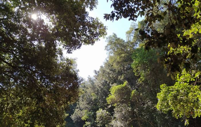 Chissà. Nel tempo dei Corsari all'Argentario