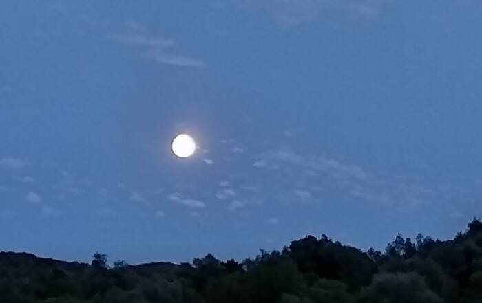 vediamo sempre la stessa faccia della Luna