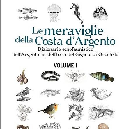 Le meraviglie della Costa d'Argento vol 1