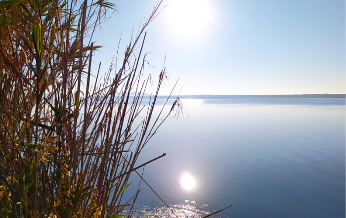 il sole d'autunno in laguna